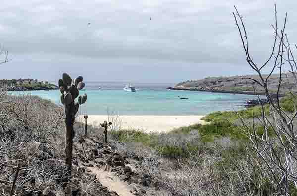 121 - Ecuador - islas Galapagos - isla Santa Fe